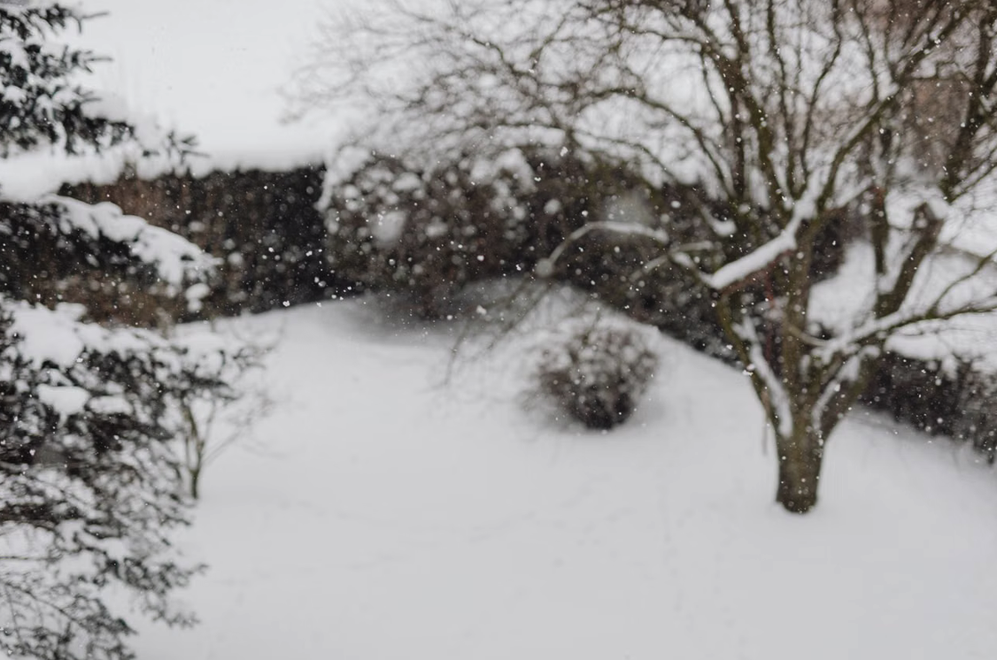 Garten im Winter mit Schnee bedeckt.